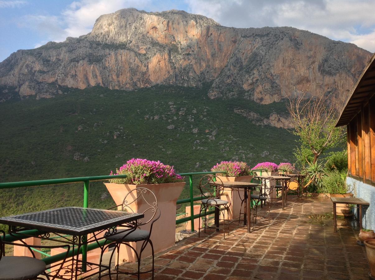 Hostel Caiat Lounge Refuge Taghzoute Zewnętrze zdjęcie